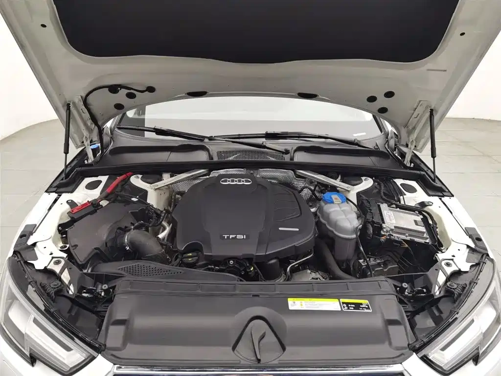 Audi Audi A4L 2019 40 TFSI Progressive (China VI)