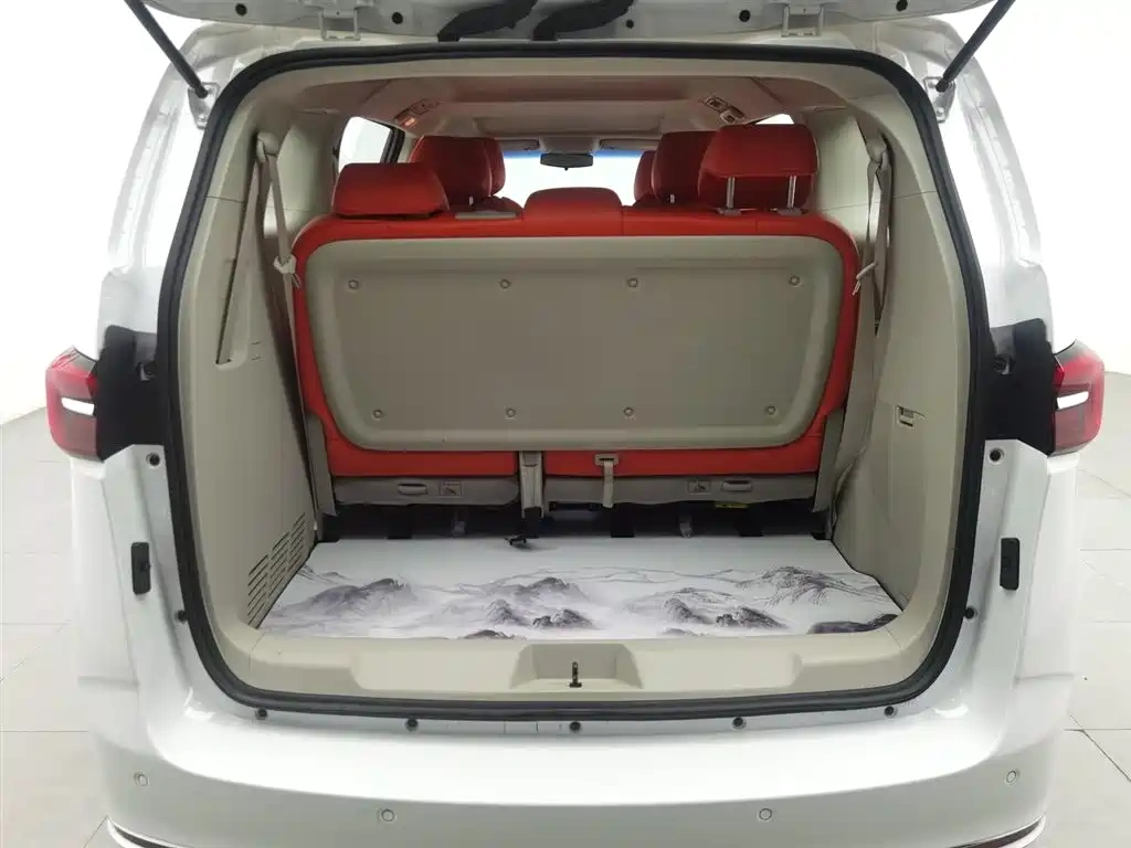 Buick Buick GL8 2023 Model Land Business Class Comfort
