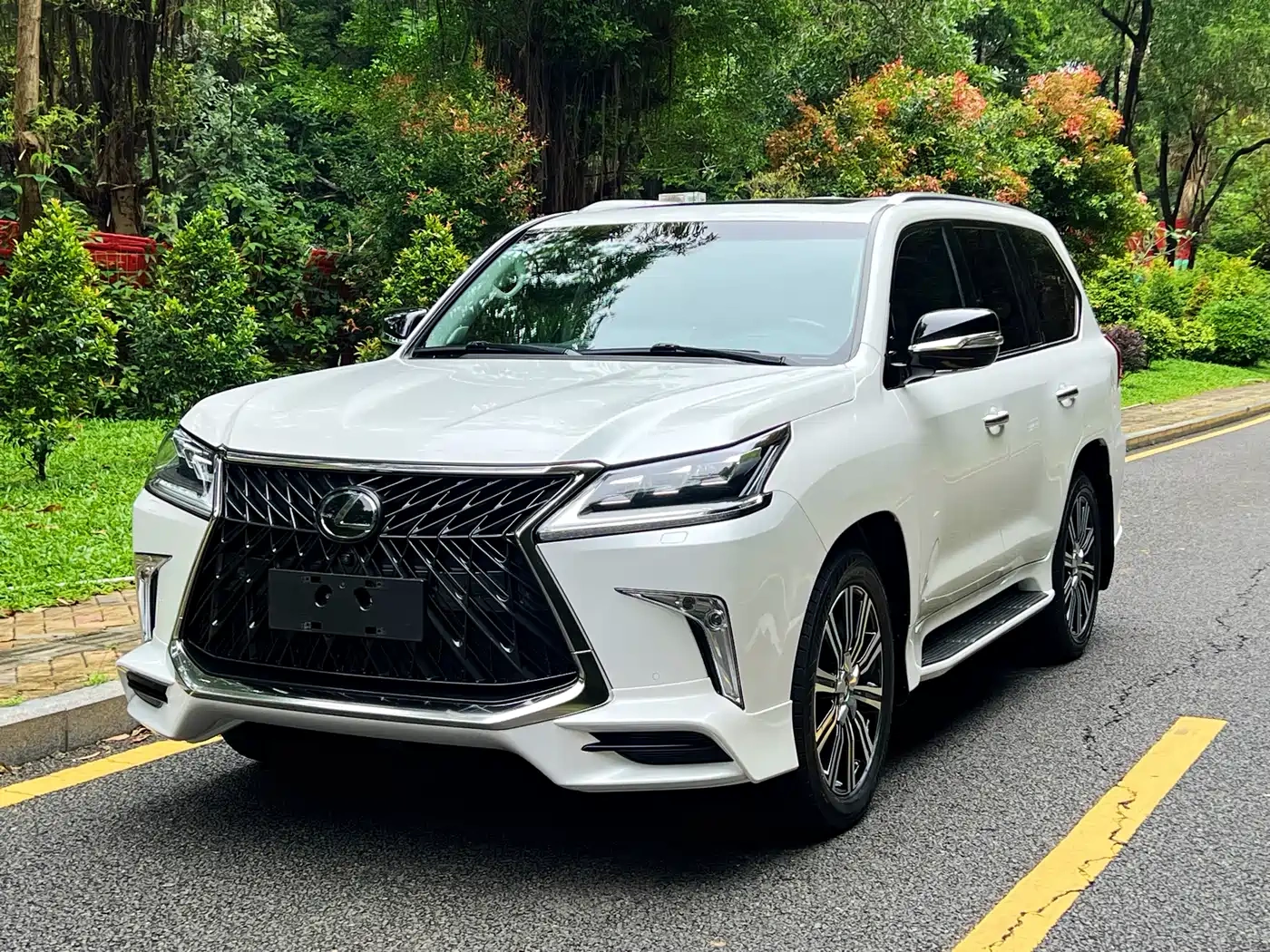 Lexus Lexus LX 2019 570 Peak Special Edition