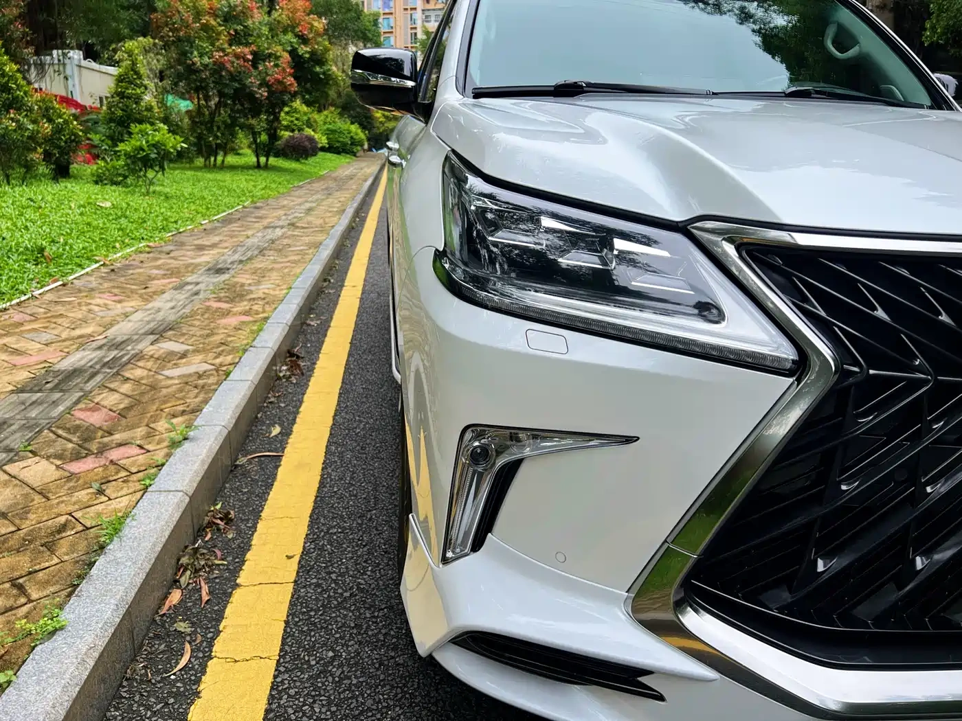 Lexus Lexus LX 2019 570 Peak Special Edition