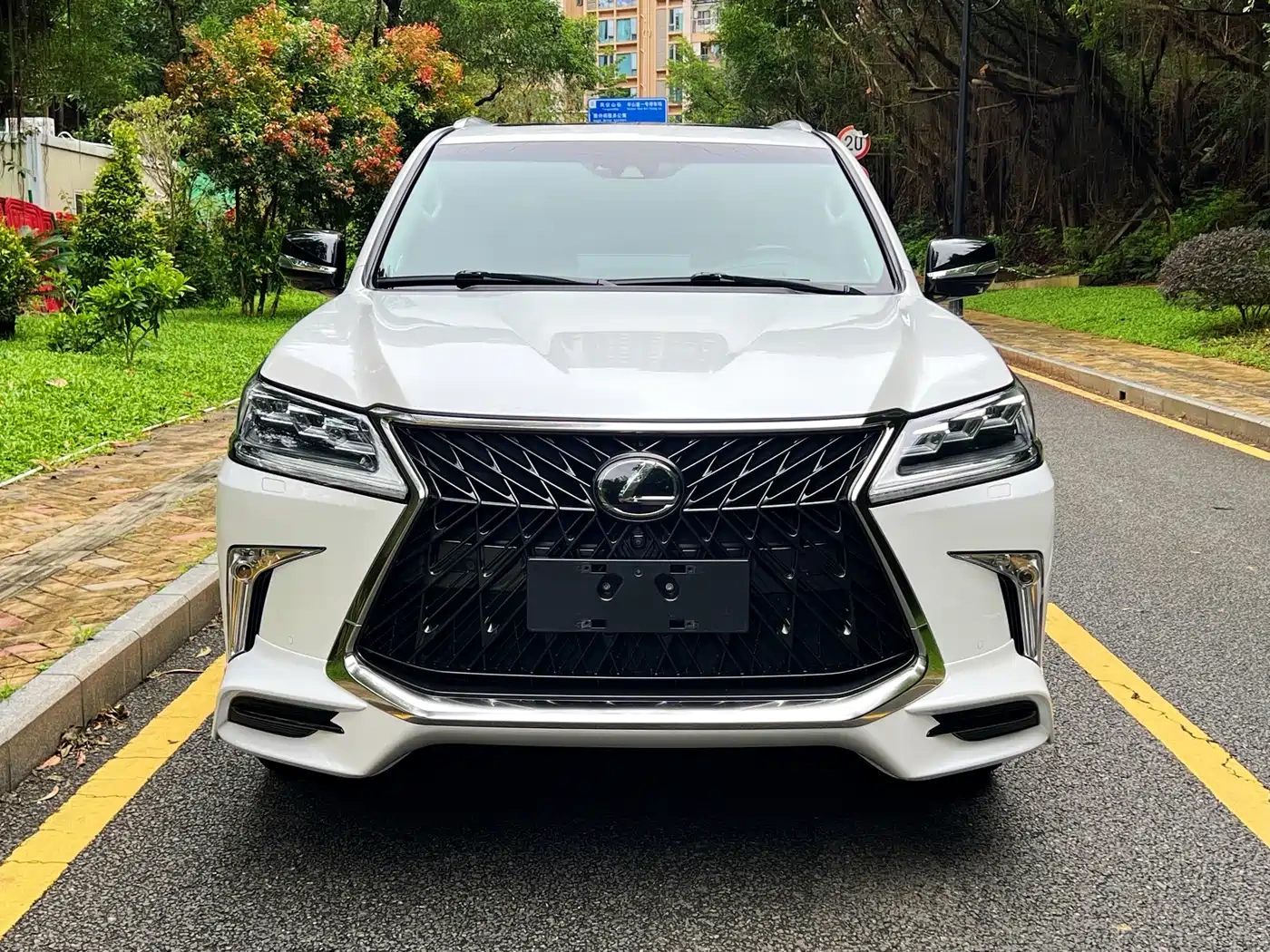 Lexus Lexus LX 2019 570 Peak Special Edition