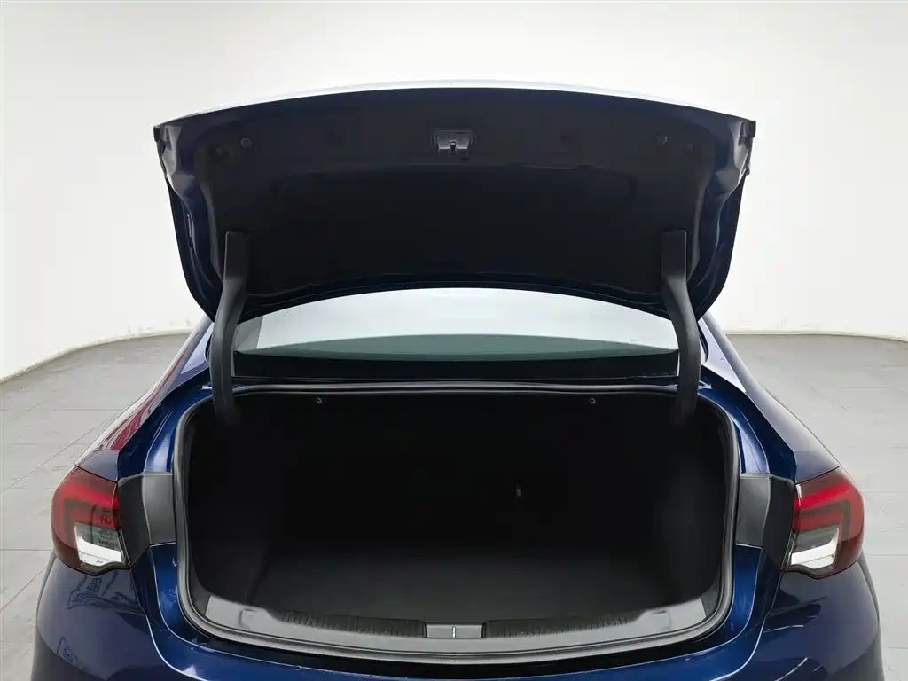 Buick Regal 2021 GS 28T Elite Model