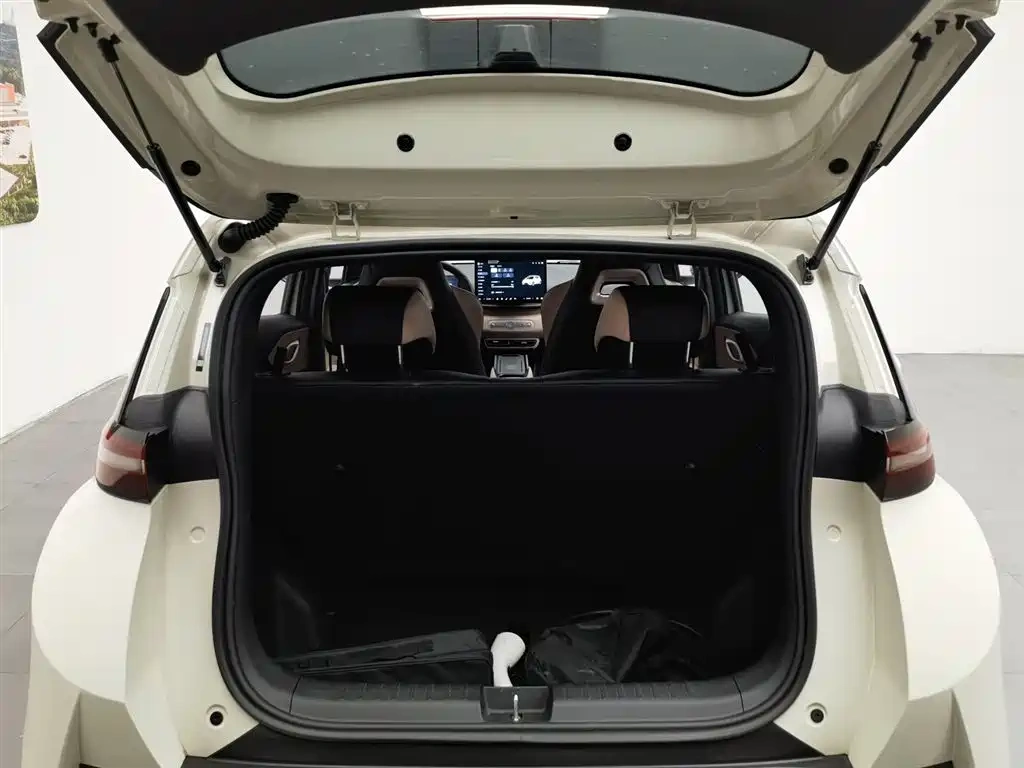 BYD Seagull 2025 Smart Drive Edition 305km Freedom Version