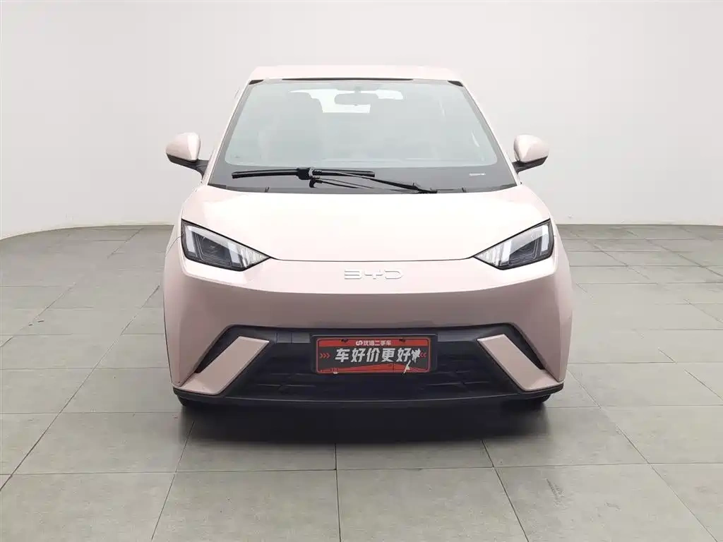 BYD Seagull 2025 305km Vitality