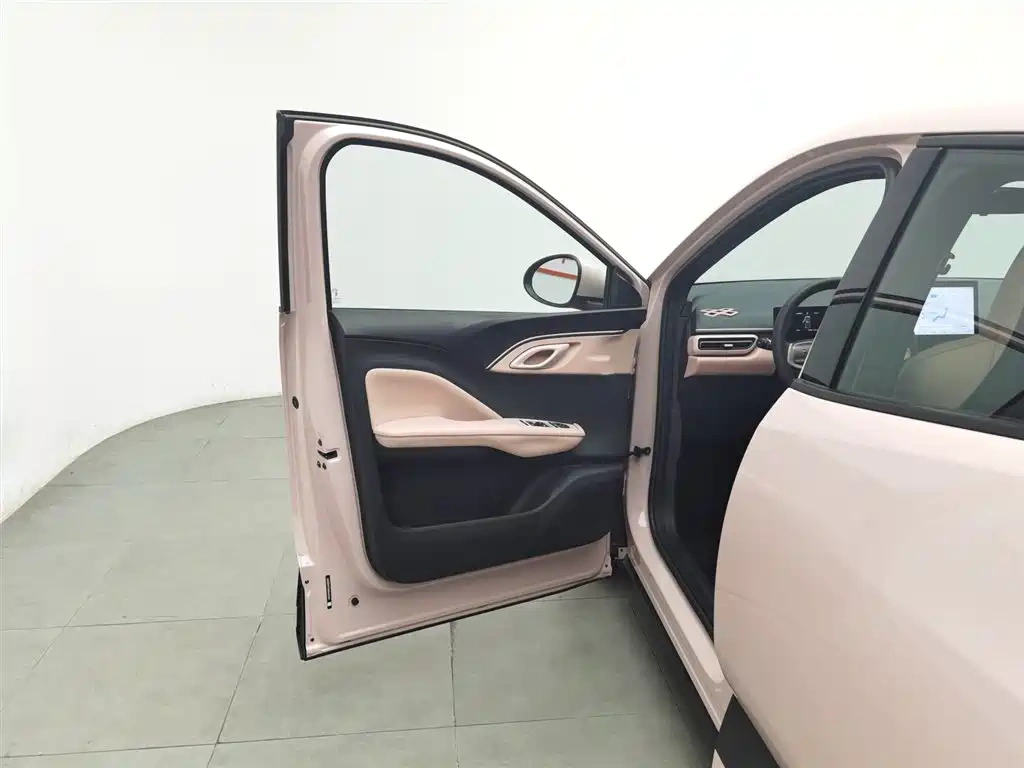 BYD Seagull 2025 305km Vitality