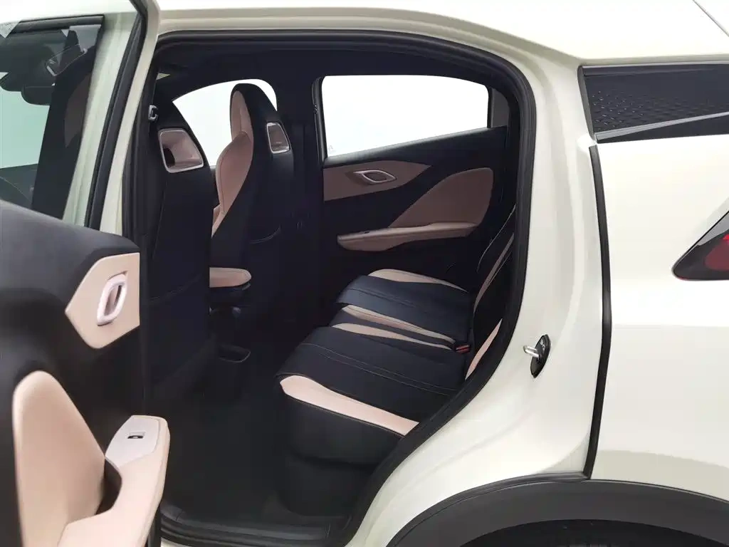 BYD Seagull 2025 Smart Drive Edition 305km Vitality Version