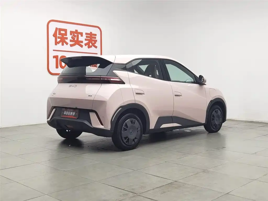 BYD Seagull 2025 305km Vitality