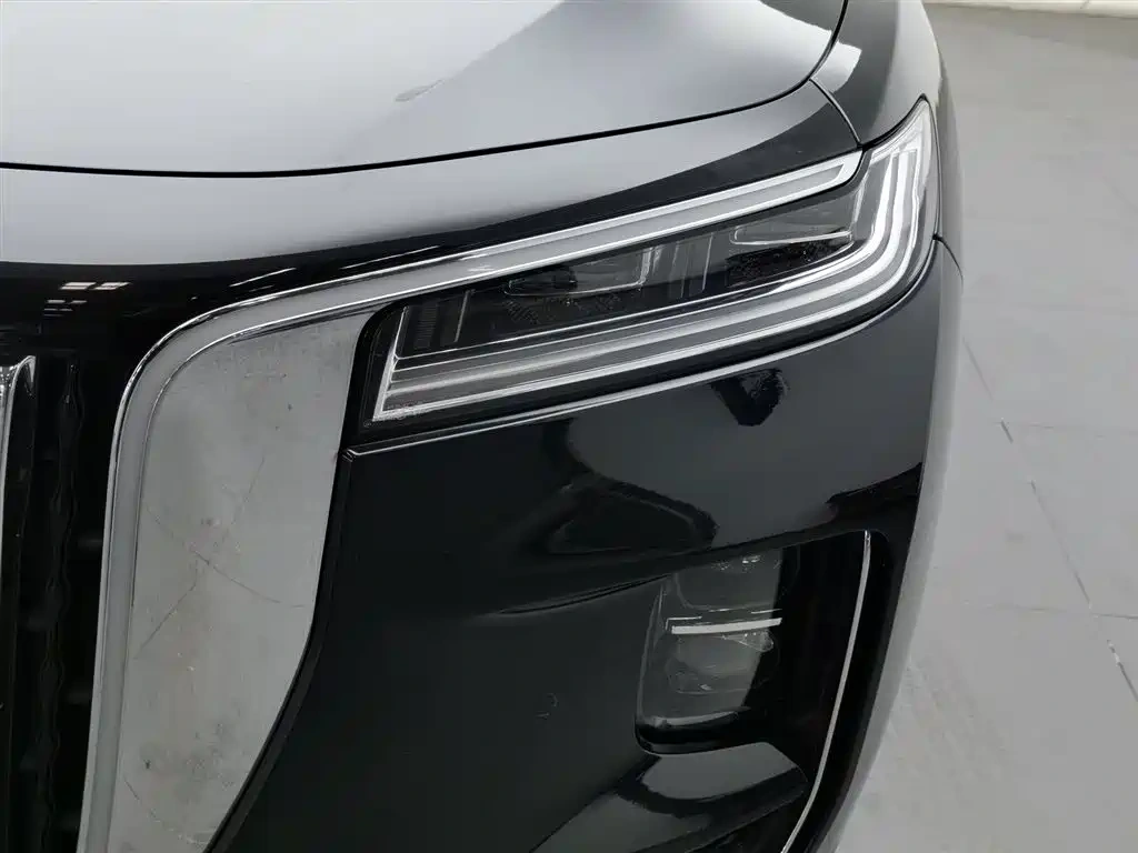 Hongqi Hongqi H9 2020 2.0T Smart Connection Qi Xiang Edition
