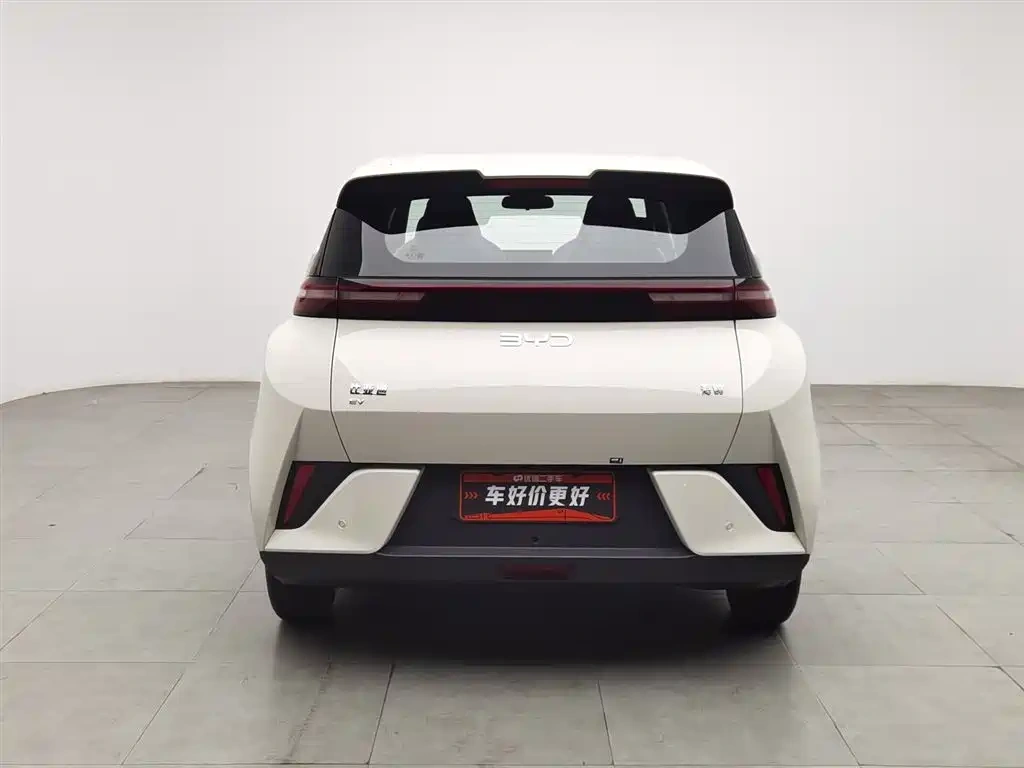 BYD Seagull 2025 Smart Drive Edition 305km Vitality Version