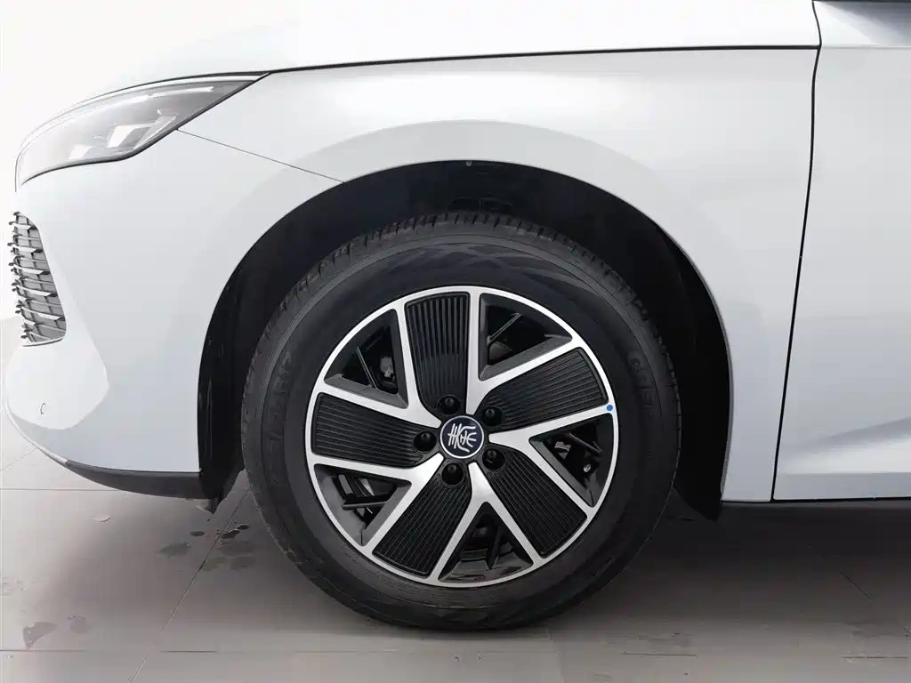BYD Qin L 2024 DM-i 120KM Leading