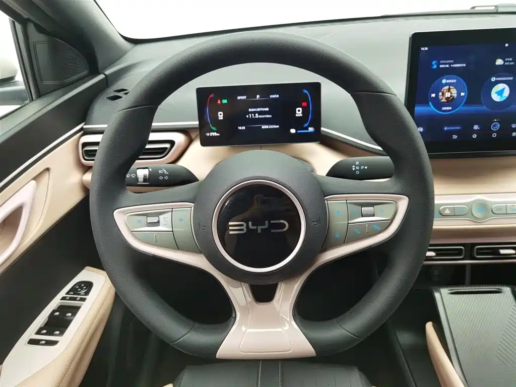 BYD Seagull 2025 Smart Drive Edition 305km Vitality Version