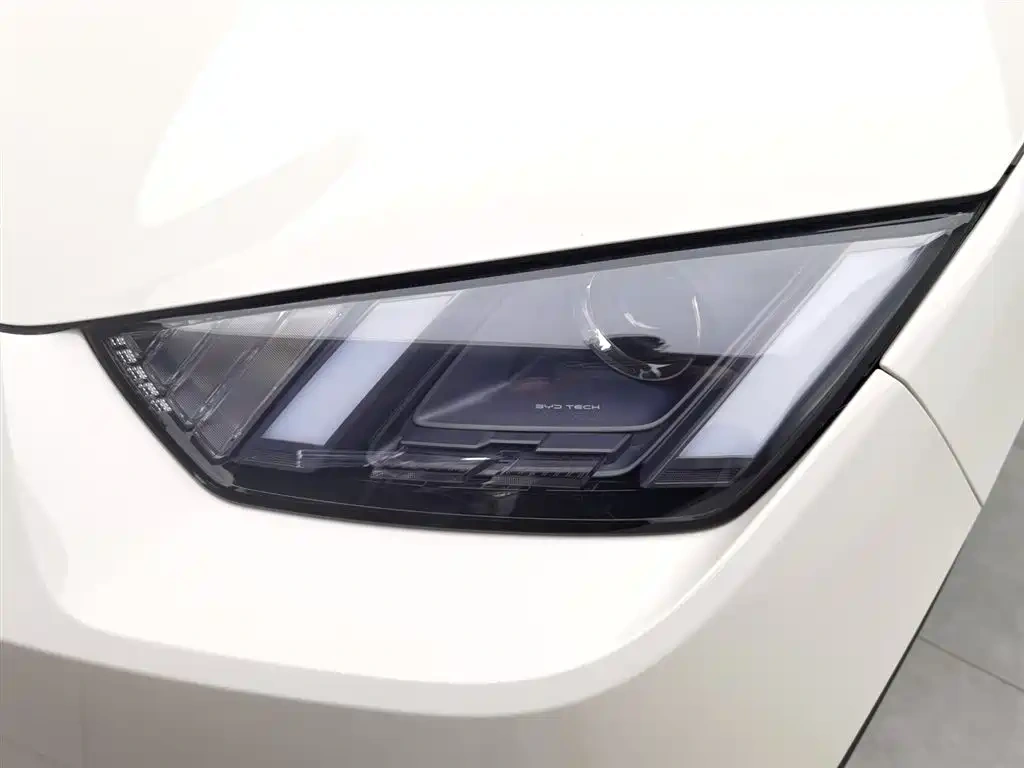 BYD Seagull 2025 Smart Drive Edition 305km Vitality Version
