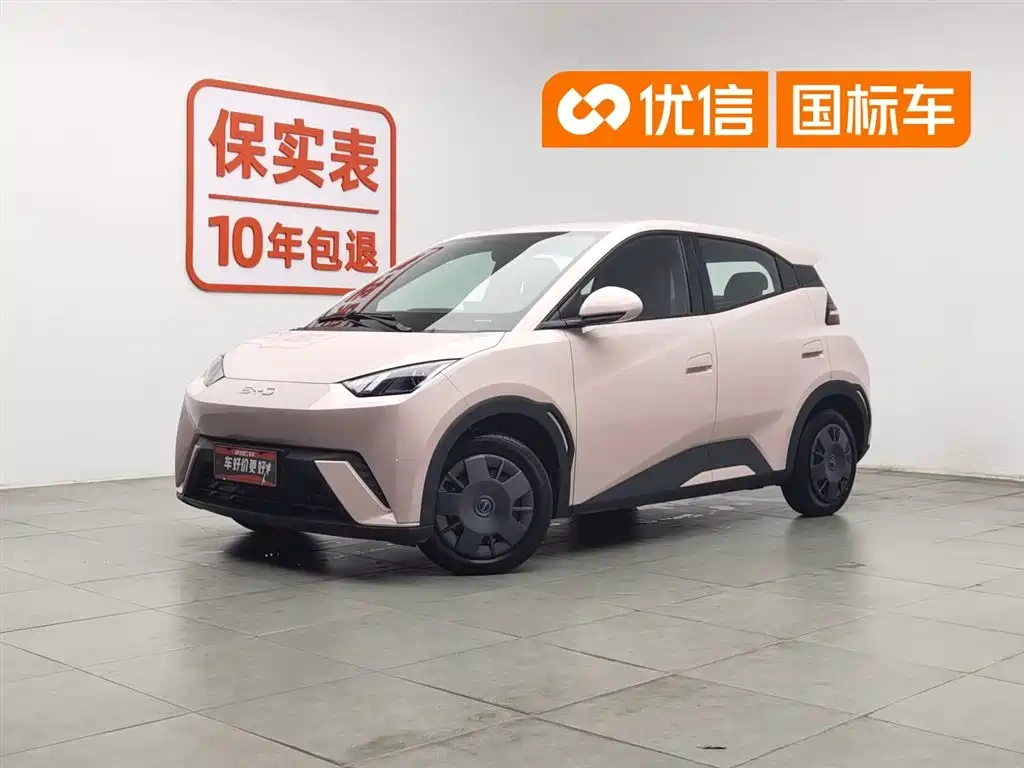BYD Seagull 2025 305km Vitality