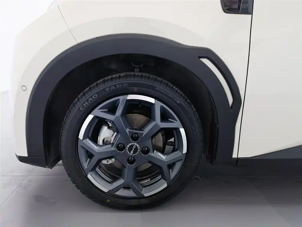 BYD Seagull 2025 Smart Drive Edition 305km Freedom Version