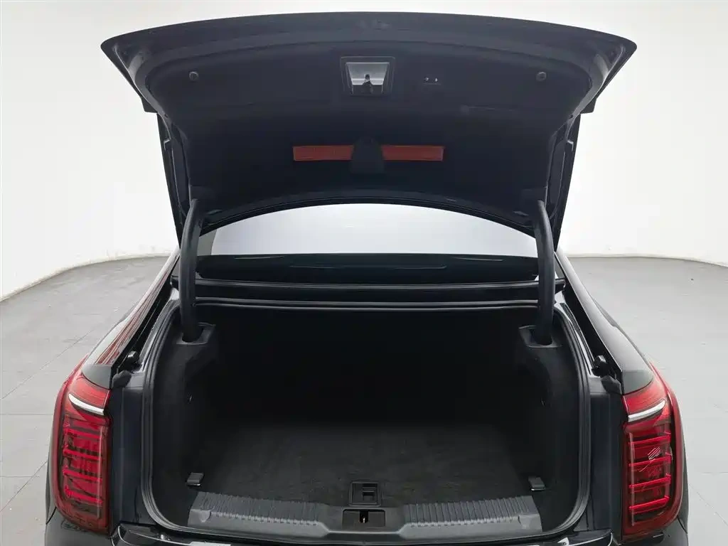 Hongqi Hongqi H9 2020 3.0T Smart Connect Flagship 4-Seater