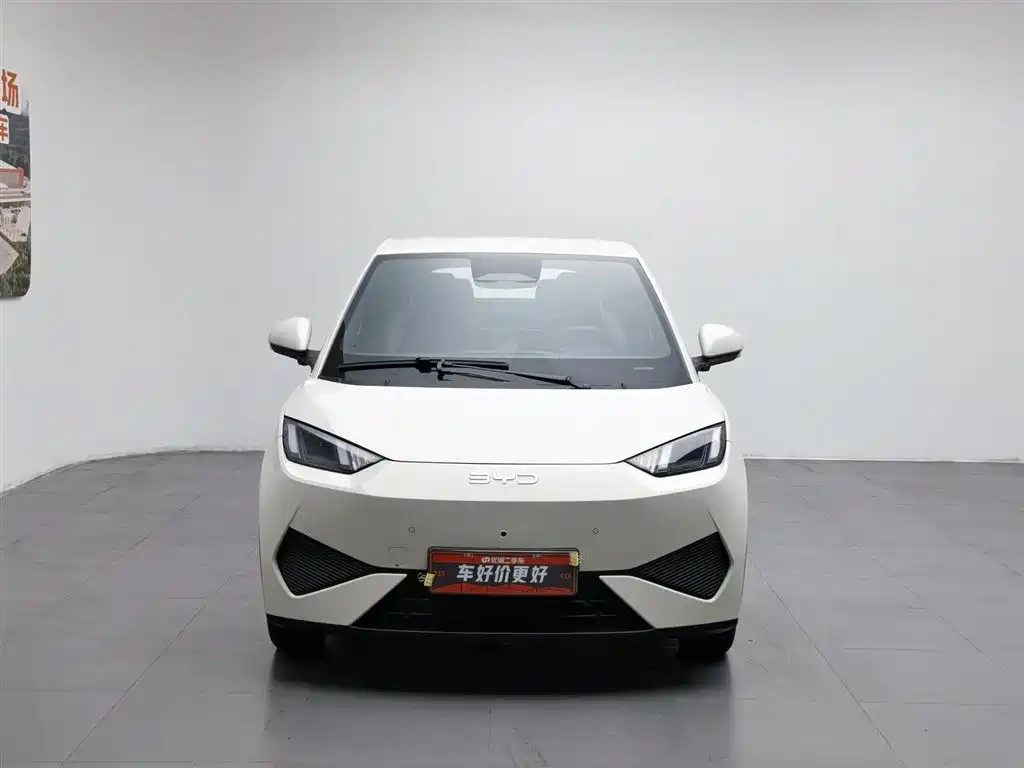 BYD Seagull 2025 Smart Drive Edition 305km Freedom Version