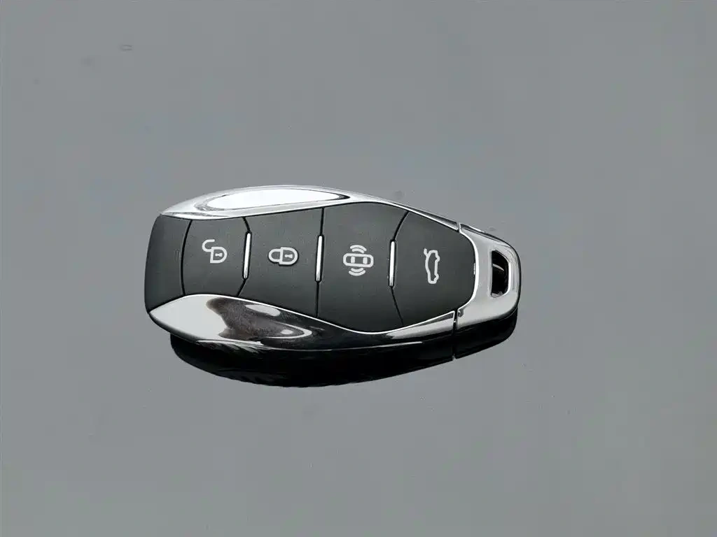 Hongqi Hongqi H5 2024 2.0T Automatic Smart Connect Flag Smooth Edition