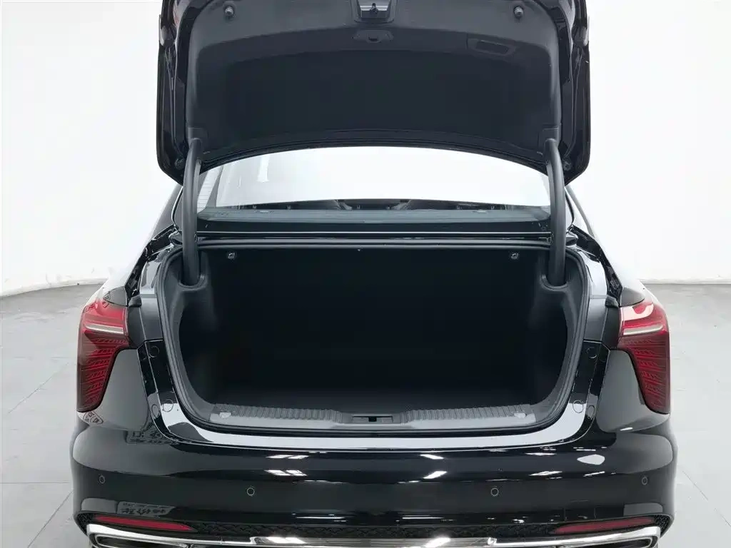 Hongqi Hongqi H5 2025 1.5T DCT Flag Rhythm 500,000 Units Memorial Edition