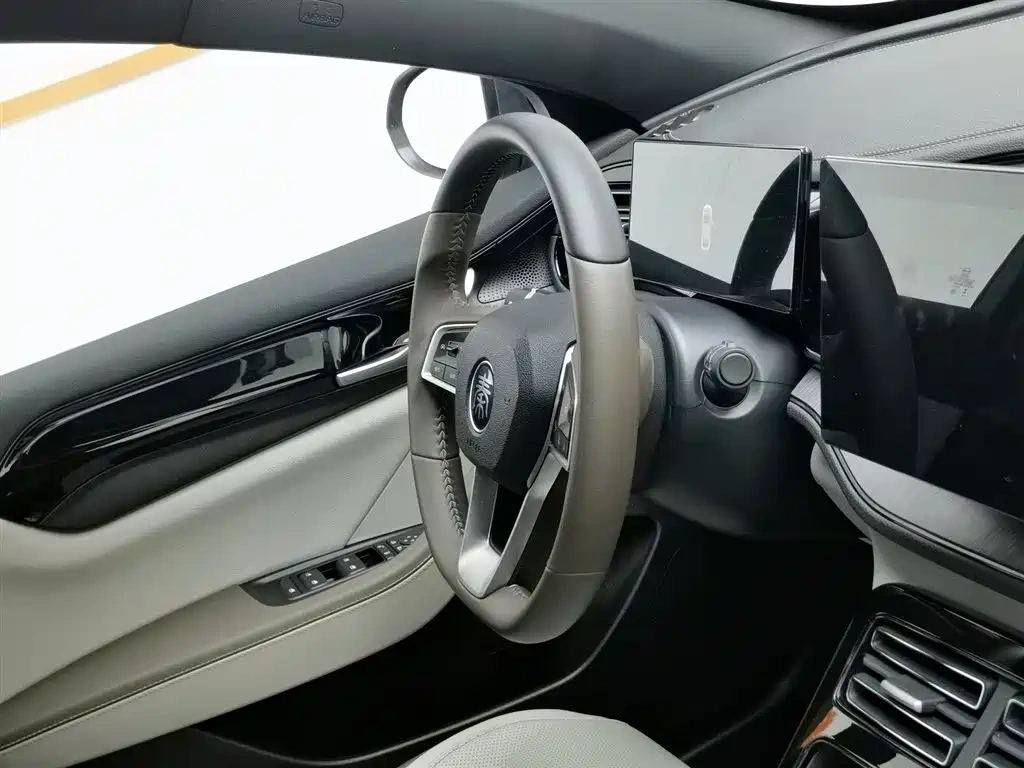 BYD Qin PLUS 2024 Glory Edition DM-i 55KM Leading