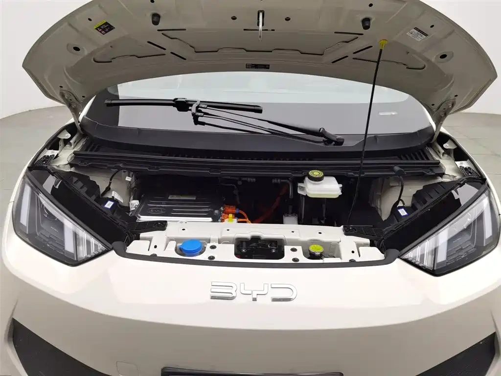 BYD Seagull 2025 Smart Drive Edition 305km Vitality Version