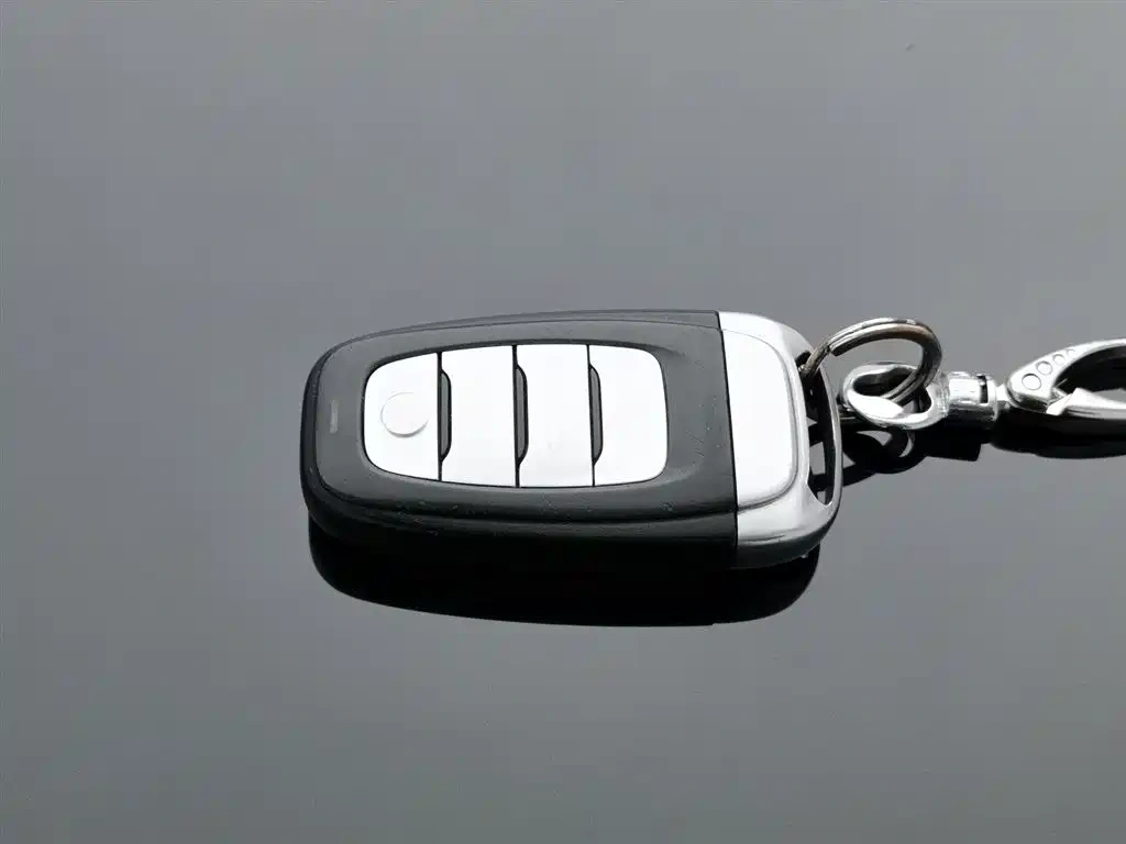 Hongqi Hongqi H9 2020 2.0T Smart Connection Qi Xiang Edition