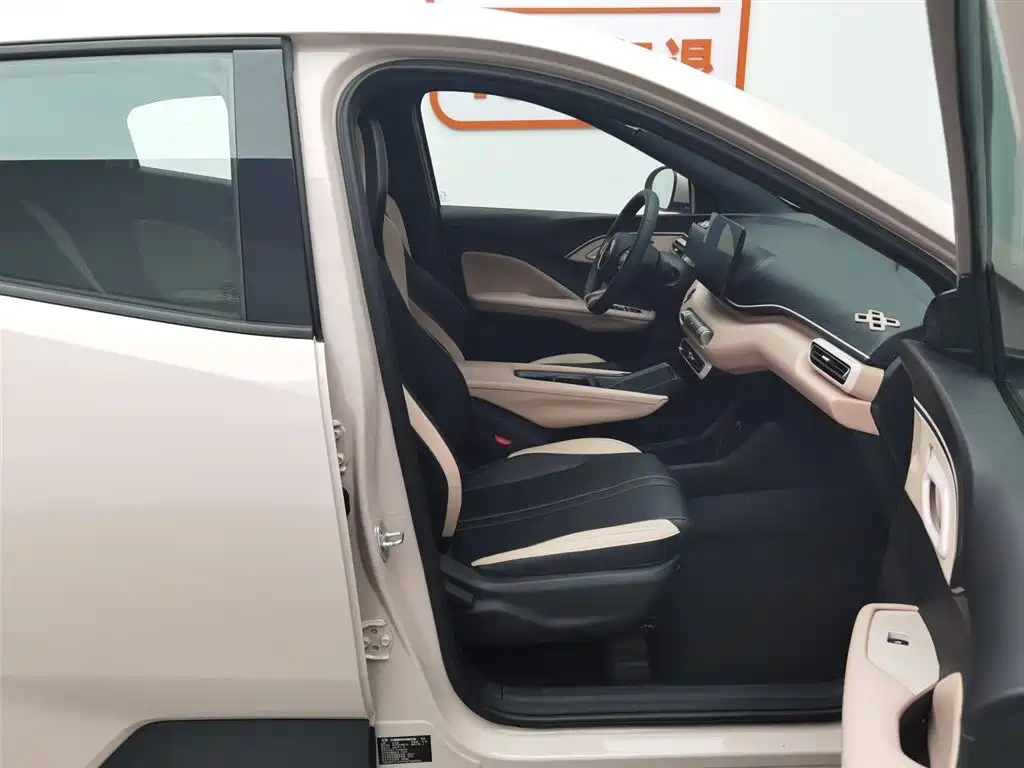 BYD Seagull 2025 305km Vitality