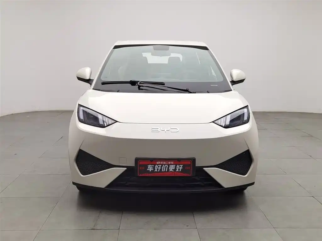 BYD Seagull 2025 Smart Drive Edition 305km Vitality Version