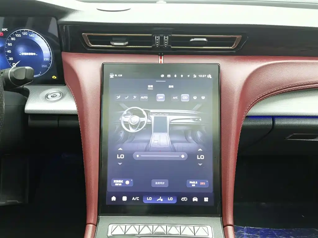 Hongqi Hongqi H5 2024 2.0T Automatic Smart Connect Flag Smooth Edition