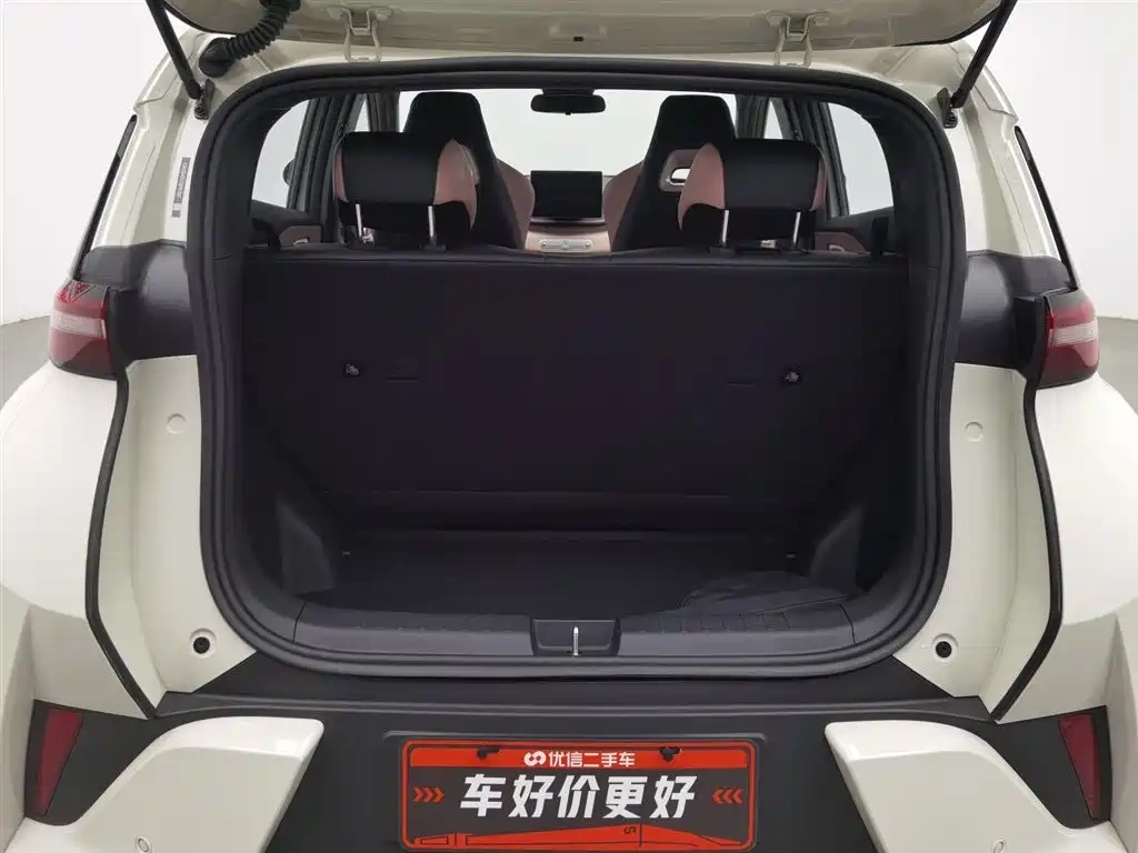 BYD Seagull 2025 Smart Drive Edition 305km Vitality Version