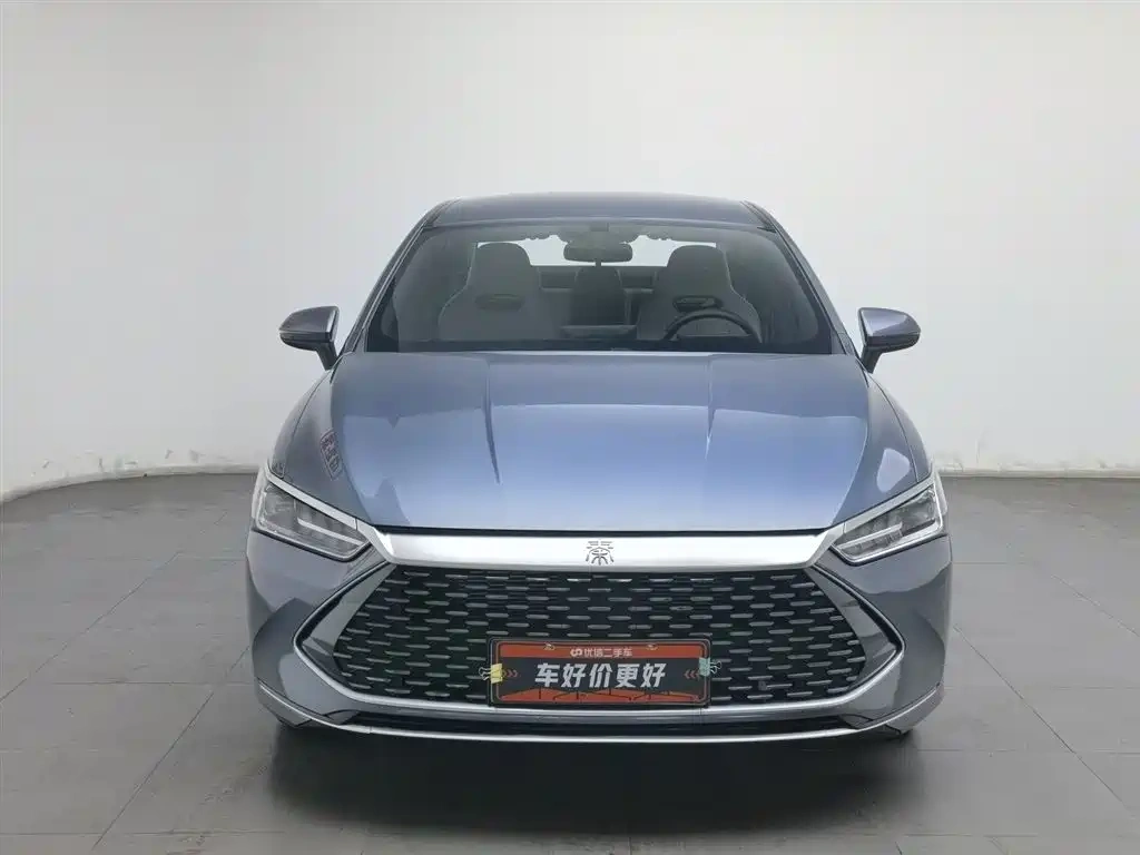 BYD Qin PLUS 2024 Glory Edition DM-i 55KM Leading