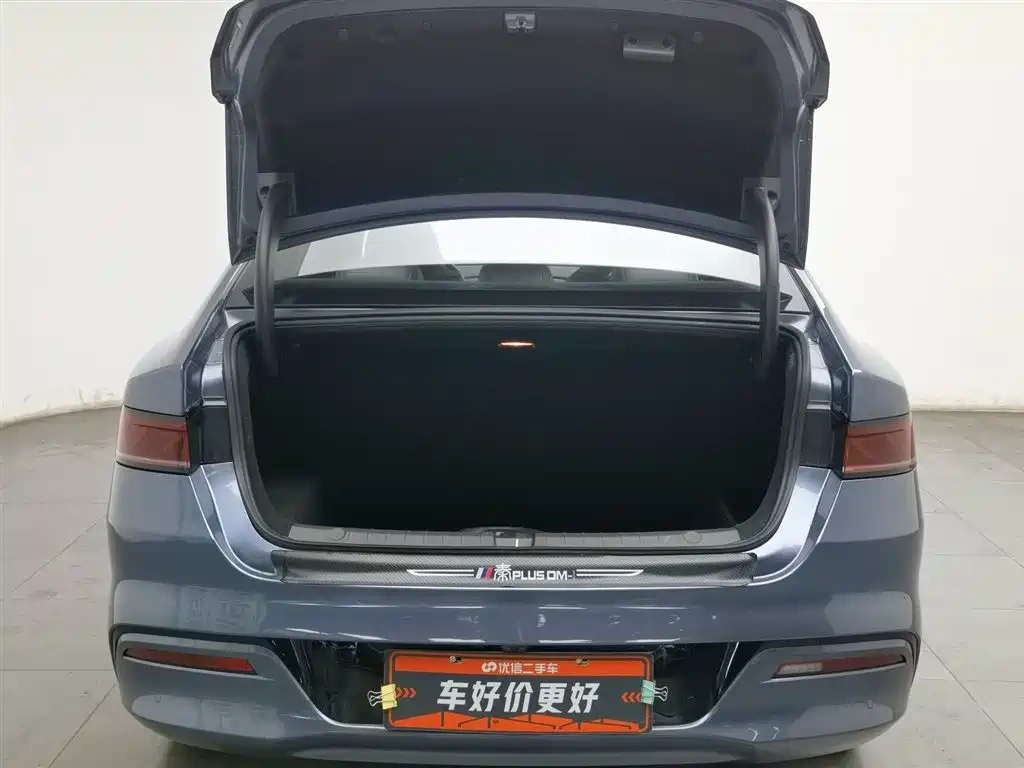 BYD Qin PLUS 2024 Glory Edition DM-i 55KM Leading