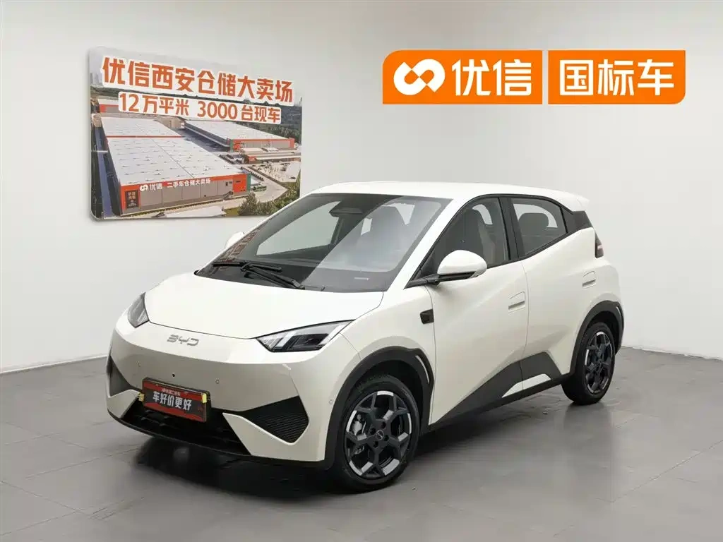 BYD Seagull 2025 Smart Drive Edition 305km Freedom Version