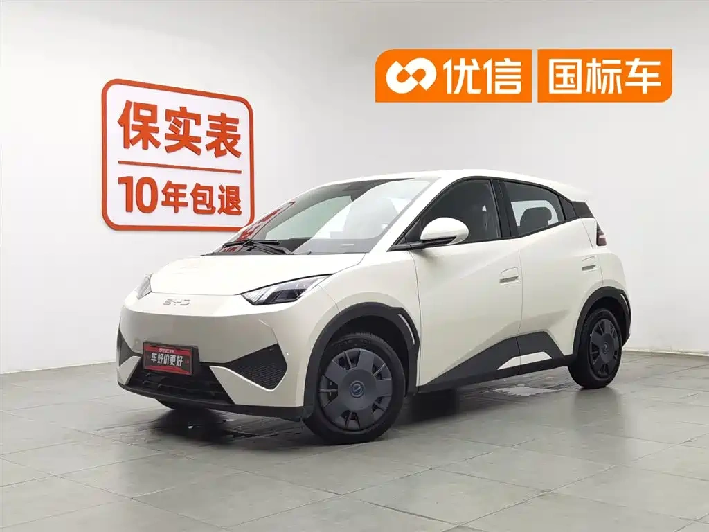 BYD Seagull 2025 Smart Drive Edition 305km Vitality Version
