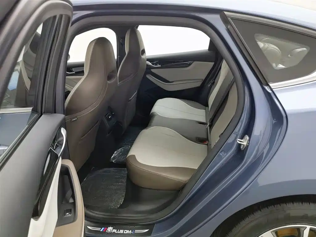 BYD Qin PLUS 2024 Glory Edition DM-i 55KM Leading