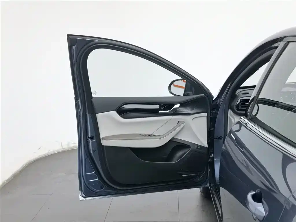 BYD Qin PLUS 2024 Glory Edition DM-i 55KM Leading