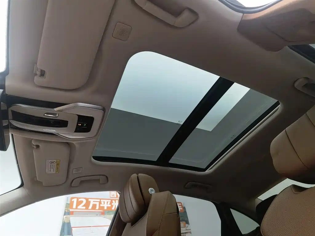 Hongqi Hongqi H9 2023 Model 2.0T Smart Connect Flagship Edition