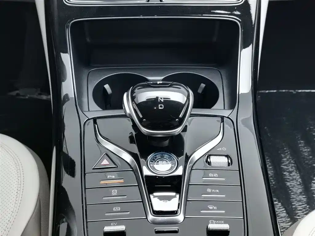 BYD Qin PLUS 2024 Glory Edition DM-i 55KM Leading