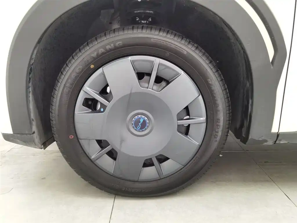 BYD Seagull 2025 Smart Drive Edition 305km Vitality Version