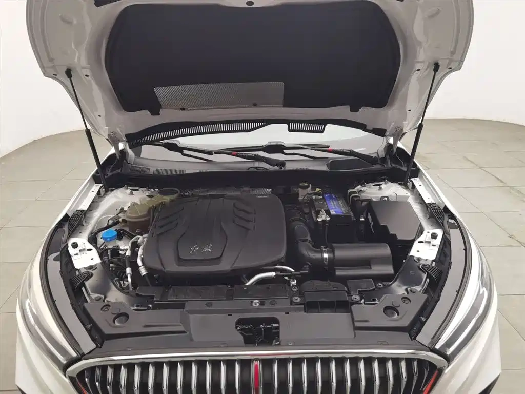 Hongqi Hongqi H5 2020 1.5T DCT Qi Rhythm Edition