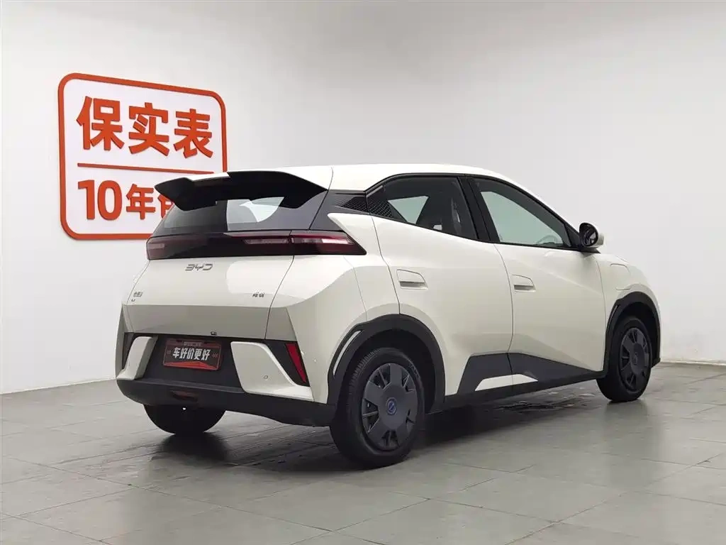 BYD Seagull 2025 Smart Drive Edition 305km Vitality Version