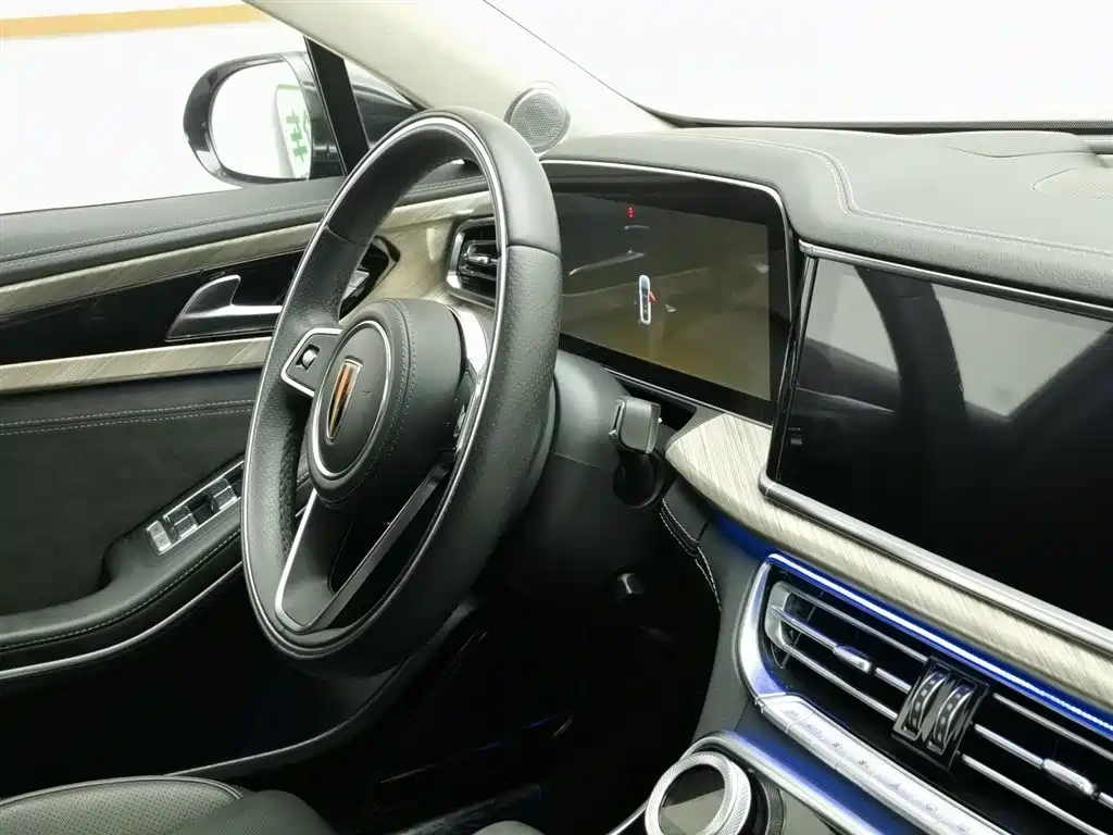 Hongqi Hongqi H9 2020 3.0T Smart Connect Flagship 4-Seater