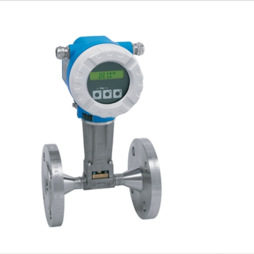 Endress+Hauser Proline Promag P 10 electromagnetic flowmeter,MY SHOP,Endress+Hauser Proline Promag P 10 electromagnetic flowmeter