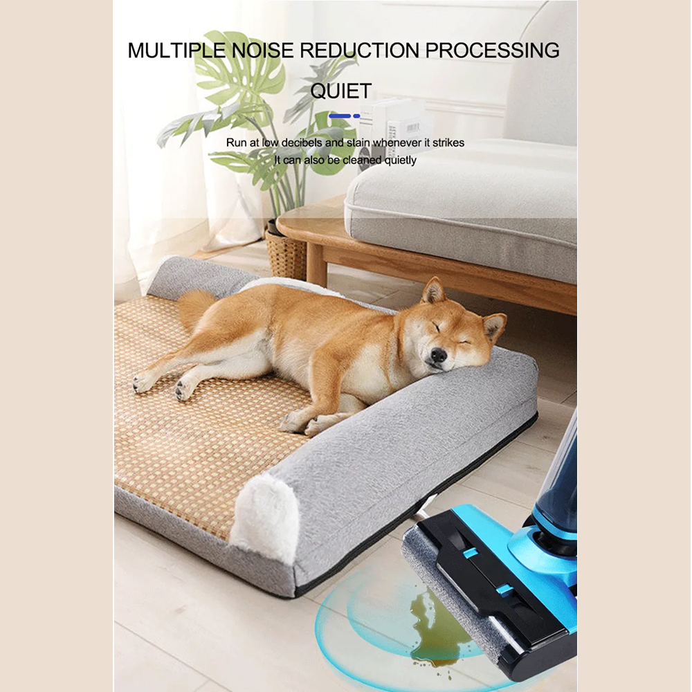 Wet Dry Cordless Floor Washer Ikono IK-T8 OEM Supply,Ikono Cleaning Appliance,Wet Dry Cordless Floor Washer Ikono IK-T8 OEM Supply