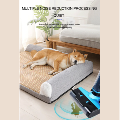 Wet Dry Cordless Floor Washer Ikono IK-T8 OEM Supply,Ikono Cleaning Appliance,Wet Dry Cordless Floor Washer Ikono IK-T8 OEM Supply