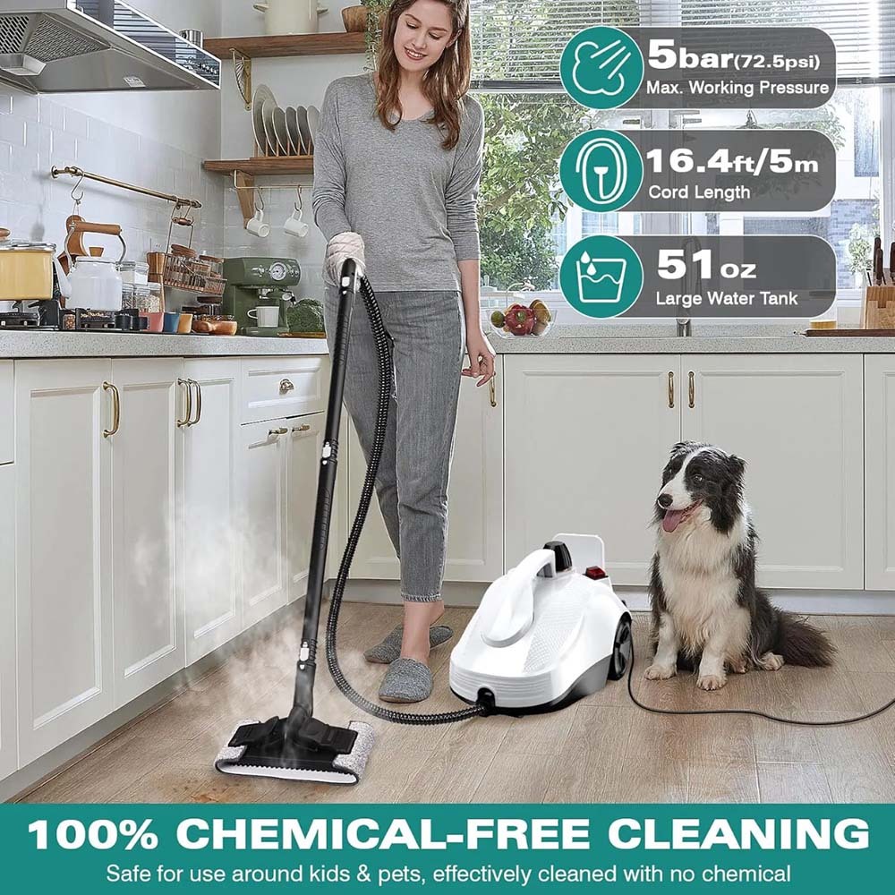 High Pressure Multi-purpose Steam Cleaner Ikono IK-8619 OEM Supply,Ikono Cleaning Appliance,High Pressure Multi-purpose Steam Cleaner Ikono IK-8619 OEM Supply