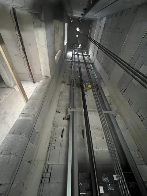 Egypt Commercial Building Passenger Elevator Project,fujielevatortec,Egypt Commercial Building Passenger Elevator Project