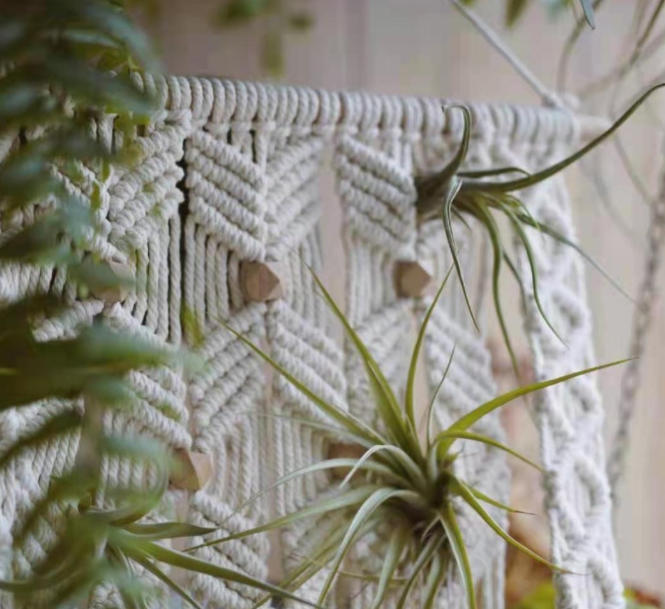 Macrame Wall Hanging Plant Shelf, Hand Knotted Cotton Tapestry with Solid Wood Display Board,www.kongzeglobal.com,Macrame Wall Hanging Plant Shelf, Hand Knotted Cotton Tapestry with Solid Wood Display Board-www.kongzeglobal.com