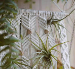 Macrame Wall Hanging Plant Shelf, Hand Knotted Cotton Tapestry with Solid Wood Display Board,www.kongzeglobal.com,Macrame Wall Hanging Plant Shelf, Hand Knotted Cotton Tapestry with Solid Wood Display Board-www.kongzeglobal.com