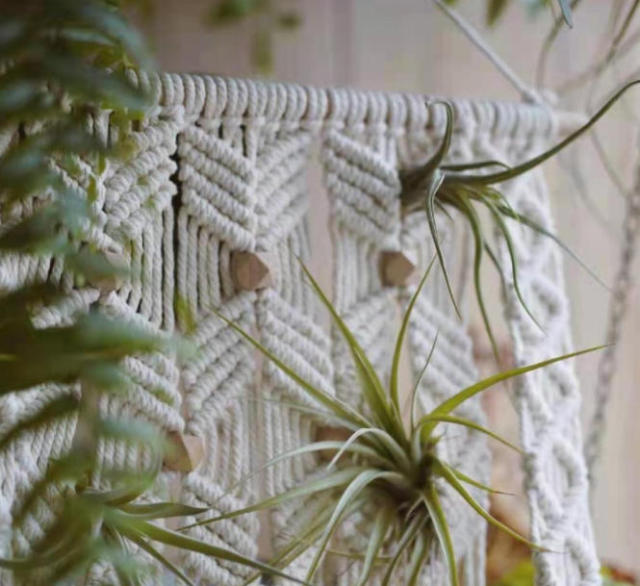 Macrame Wall Hanging Plant Shelf, Hand Knotted Cotton Tapestry with Solid Wood Display Board,www.kongzeglobal.com,Macrame Wall Hanging Plant Shelf, Hand Knotted Cotton Tapestry with Solid Wood Display Board-www.kongzeglobal.com