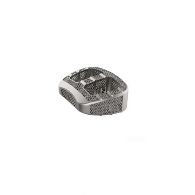 3D Printing ALIF Cage (Titanium),Shinvaunited,3D Printing ALIF Cage (Titanium)